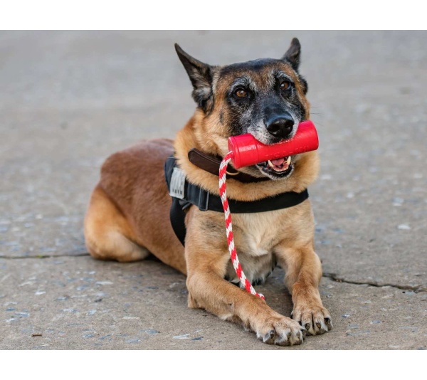 Red - USA-K9 Firecracker Durable Rubber Floating Training Dummy  - Large