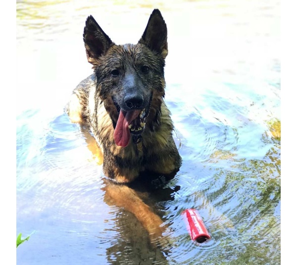 Red - USA-K9 Firecracker Durable Rubber Floating Training Dummy  - Large