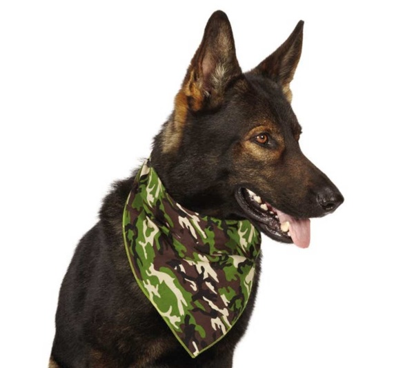 Green - AR Camo Bandana Grn