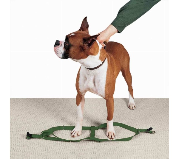 Dark Green - CC Nylon 2 Step Harness 25-40In Grn - 25-40in