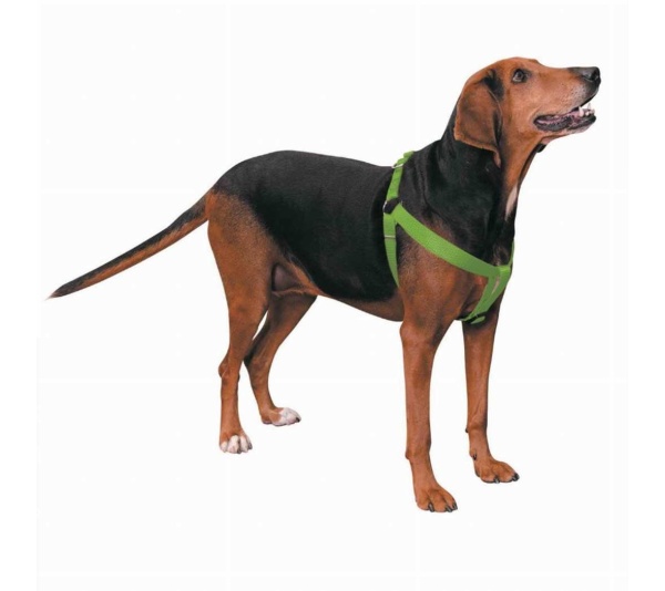 Light Green - CC Nylon 2 Step Harness 15-25In Grn - 15-25in
