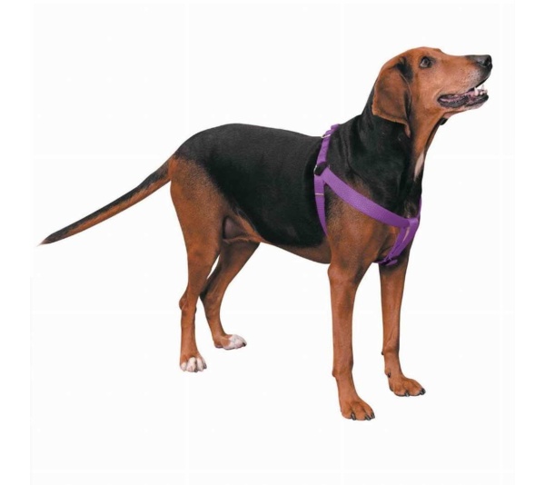 Purple - CC Nylon 2 Step Harness 15-25In Pur - 15-25in