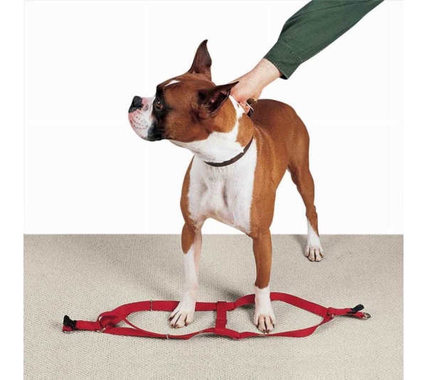 Red - CC Nylon 2 Step Harness 15-25In Red - 15-25in