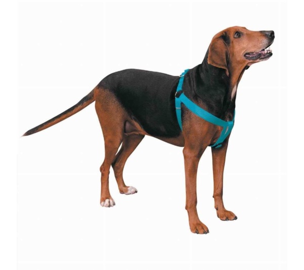 Turqouise - CC Nylon 2 Step Harness 15-25In Blu - 15-25in