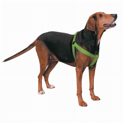 Light Green - CC Nylon 2 Step Harness 9-15In Grn - 9-15in