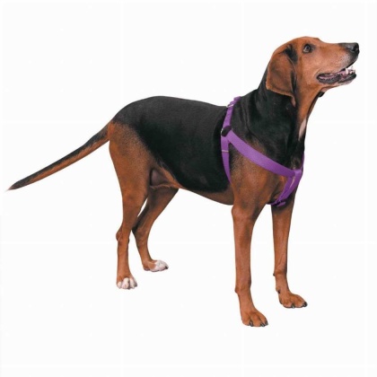 Purple - CC Nylon 2 Step Harness 9-15In Pur - 9-15in