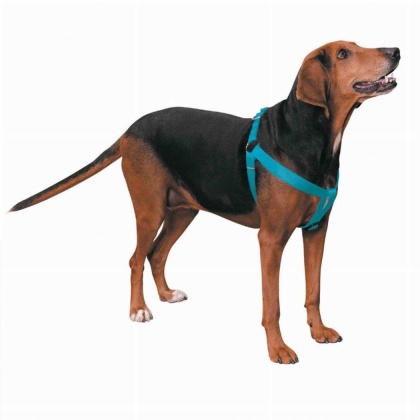 Turqouise - CC Nylon 2 Step Harness 9-15In Blu - 9-15in