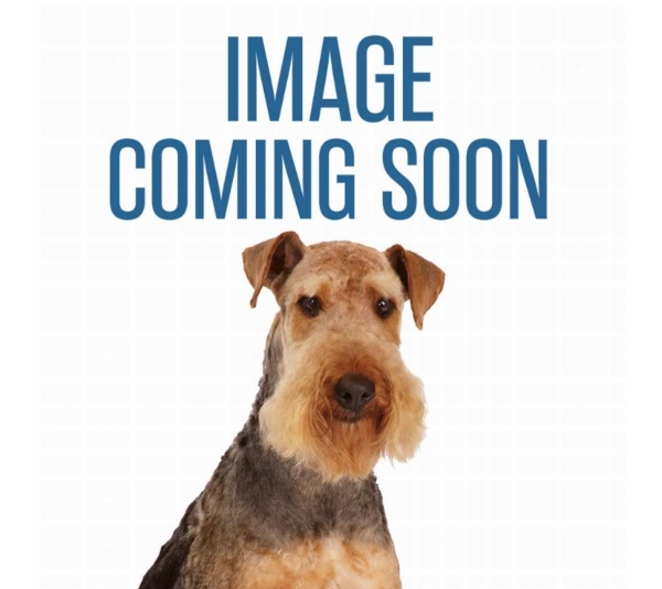 BP Snap Around Tree Tie-Out