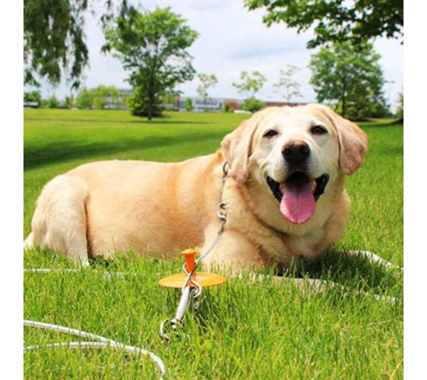 BP Tie-Out/Dome Stake Combo 30ft XL - 30ft XL