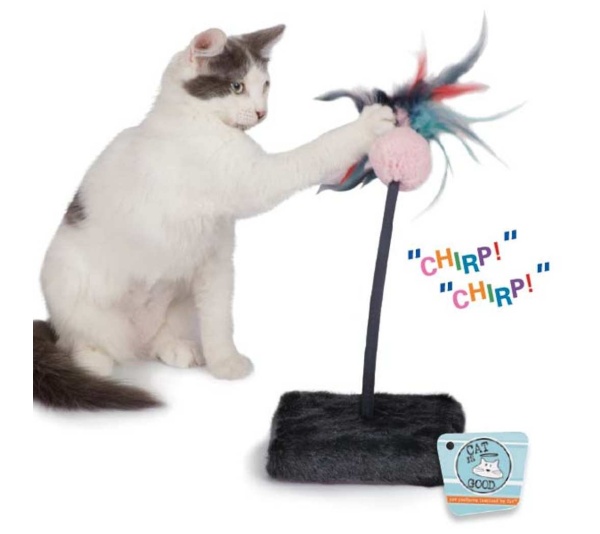 Cat Is Good Chirping Teaser Mul