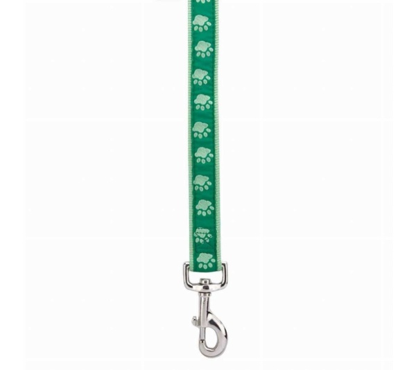 Green - CC TwoTone Pawprint Lead 4Ftx5/8In Grn - 4ftx5/8in