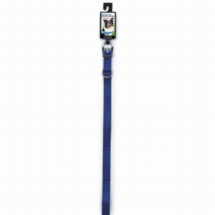 Blue - DGR 3/4in Nylon Collar 16in Blue - 16in