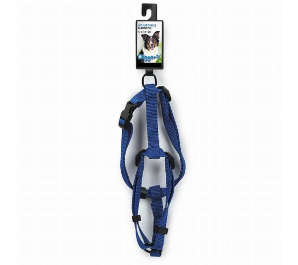 Blue - DGR 5/8in Adjustable Harness Blue