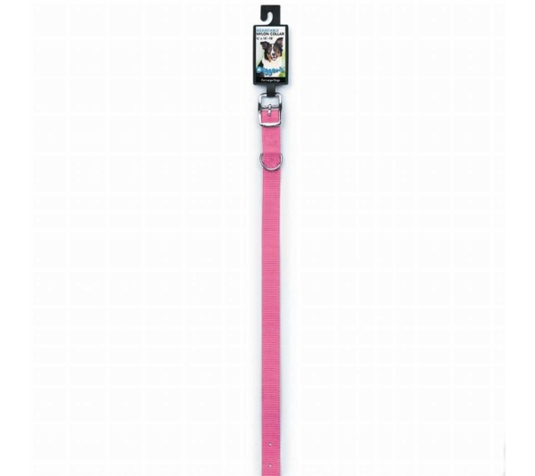 Neon Pink - DGR 3/4in Nylon Collar 20in Neon Pink - 20in