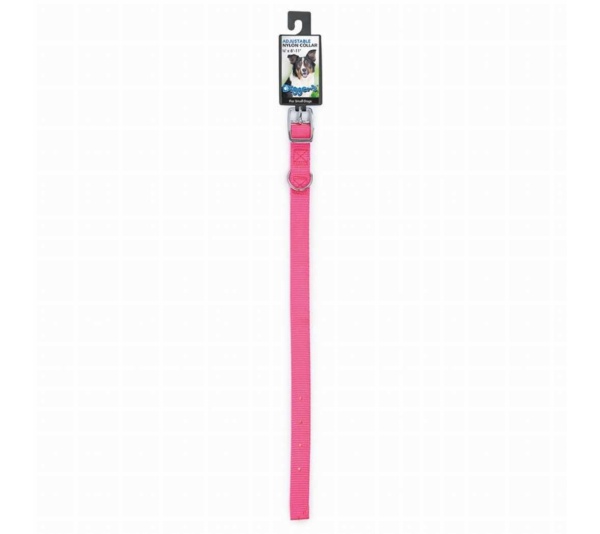 Neon Pink - DGR 5/8in Nylon Collar 18in Neon Pink - 18in