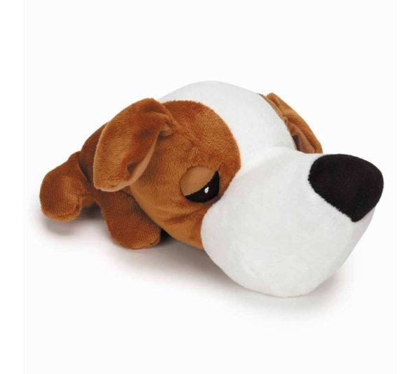 Beagle - Digger's FatHedz Beagle