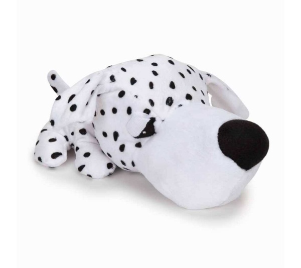 Dalmation - Digger's FatHedz Dalmation