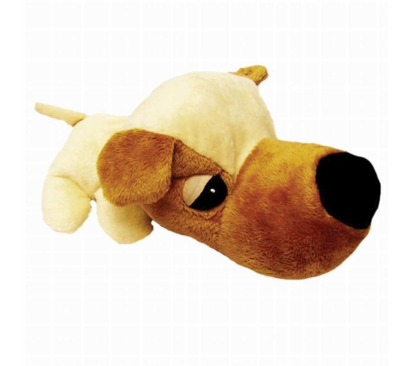 Goldy - Digger's FatHedz Goldy