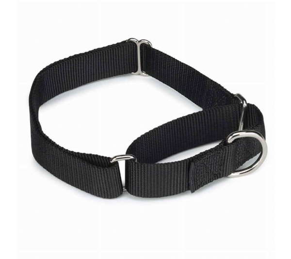 Black - GG Nylon Martingale Collar 14-20In Blk - 14-20in