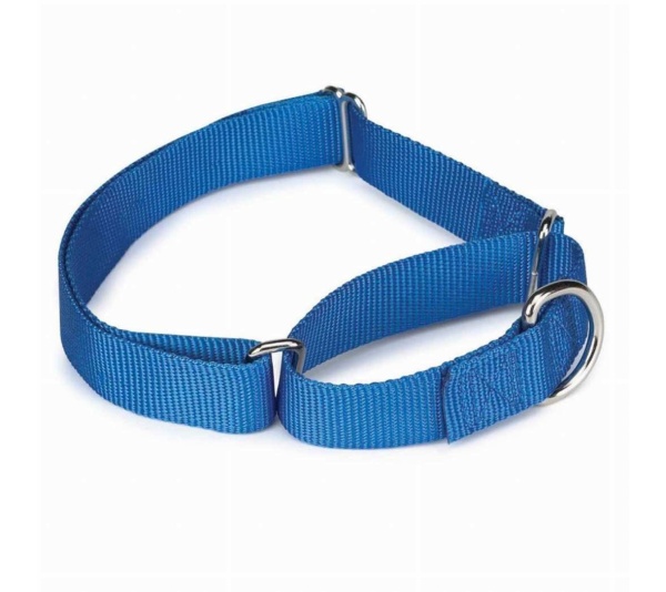 Blue - GG Nylon Martingale Collar 18-26In Blu - 18-26in