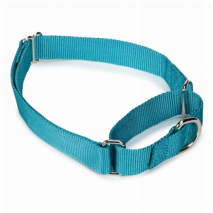 Light Blue - GG Nylon Martingale Collar 14-20In LtB - 14-20in
