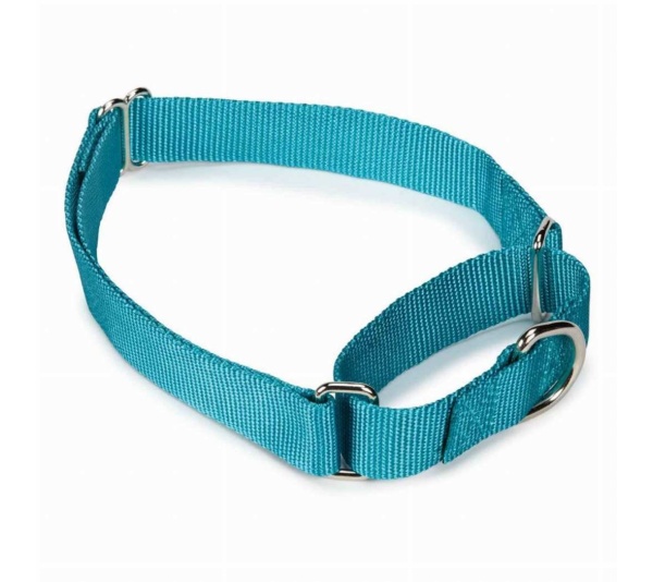 Light Blue - GG Nylon Martingale Collar 14-20In LtB - 14-20in