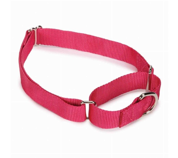 Pink - GG Nylon Martingale Collar 14-20In Pnk - 14-20in