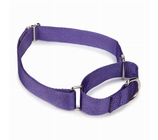 Purple - GG Nylon Martingale Collar 18-26In Pur - 18-26in