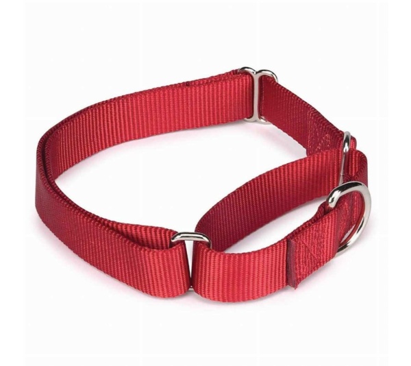 Red - GG Nylon Martingale Collar 14-20In Red - 14-20in