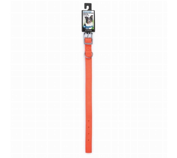 Orange - Diggers 1in Nylon Neon Collar 20in Org - 20in