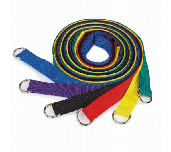 GG Kennel Lead 4Ft 6Pk Asst