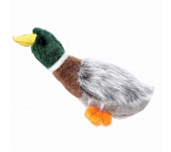 GR Squawk Flock Mallard