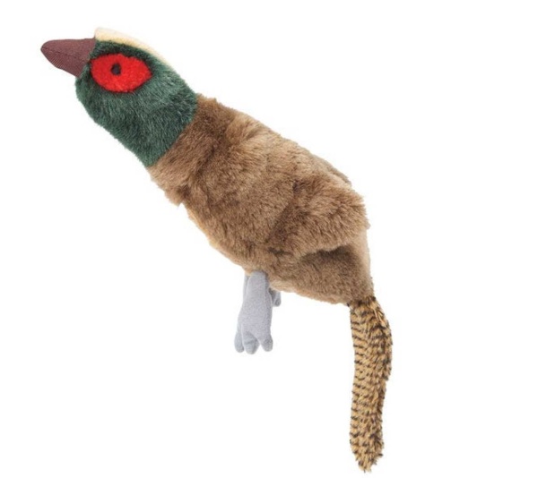 GR Squawk Flock Pheasant