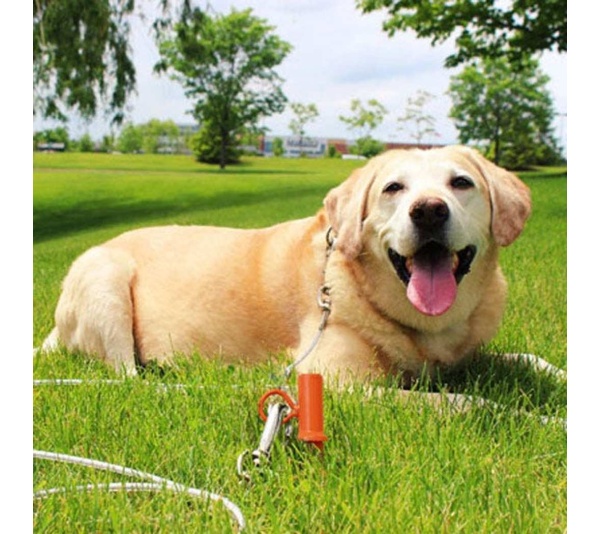 Prestige Interlock 360 Stake