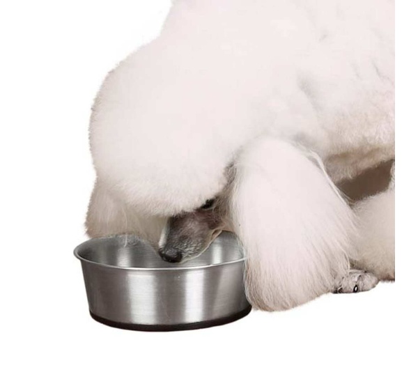 PS SS Bowl w/Silicone Base 16oz - 16oz