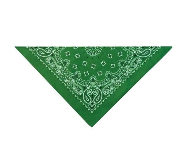 Dark Green - TP Paisley Bandana Dk Grn