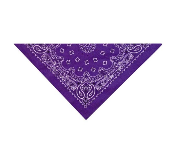 Dark Purple - TP Paisley Bandana DkPur