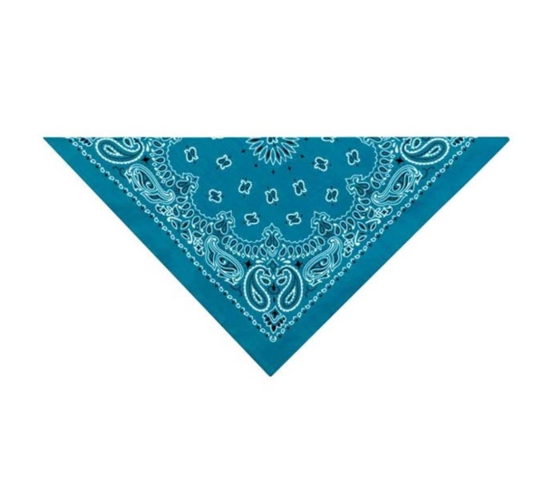 Light Blue - TP Paisley Bandana Lt Blu