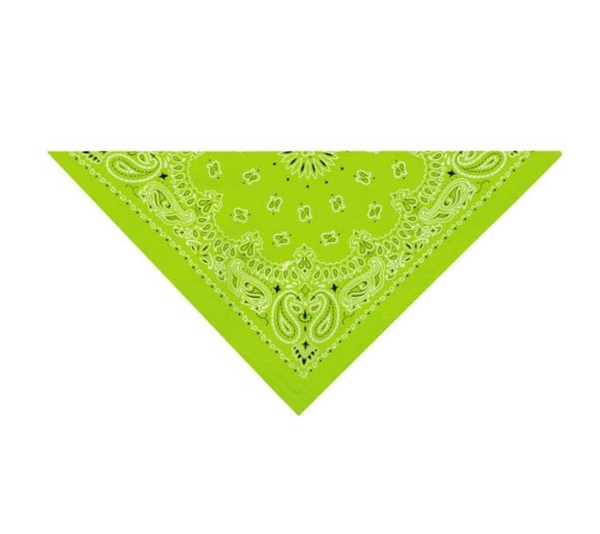 Light Green - TP Paisley Bandana Lt Grn