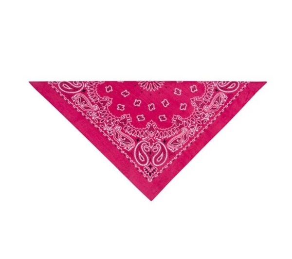 Pink - TP Paisley Bandana Pnk