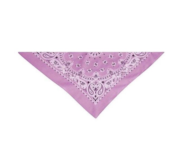 Purple - TP Paisley Bandana Pur