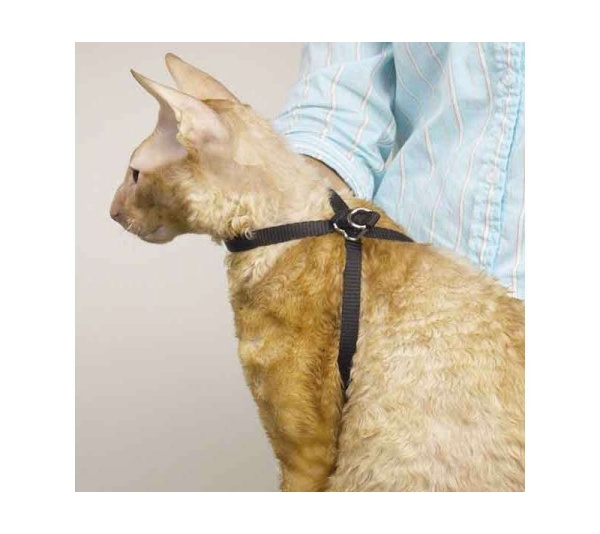 TP Adj Nylon Groom Cat Harness 40In