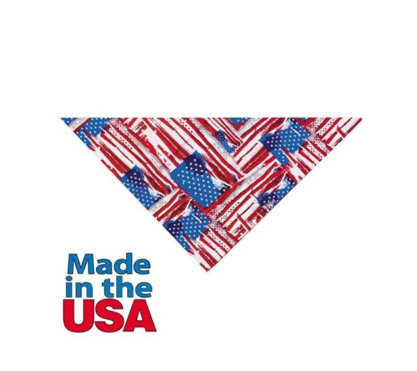 TP Painted Flag Bandana Multi