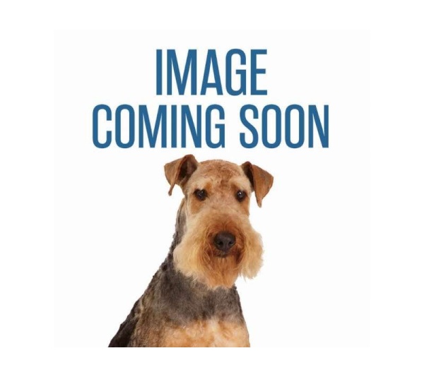 Vinyl Spiked Rugby Ball