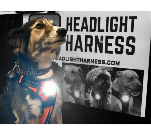 Purple - Headlight Harness, Dog Harness with Built In LED Light - XSmall