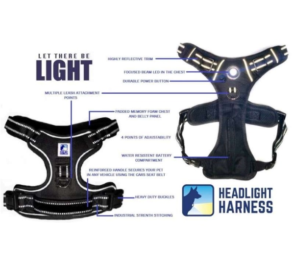 Blue - Headlight Harness, Dog Harness with Built In LED Light - Large