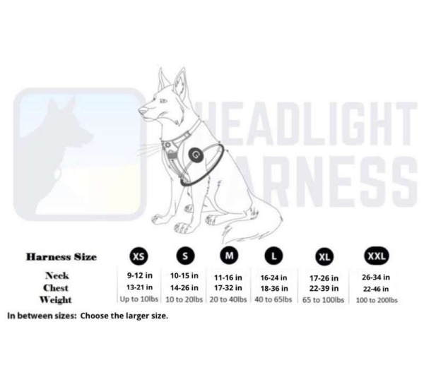 Grey - Headlight Harness, Dog Harness with Built In LED Light - Small