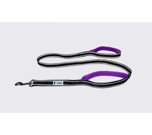 Purple - Headlight Harness Double Handle Reflective Leash - 6ft