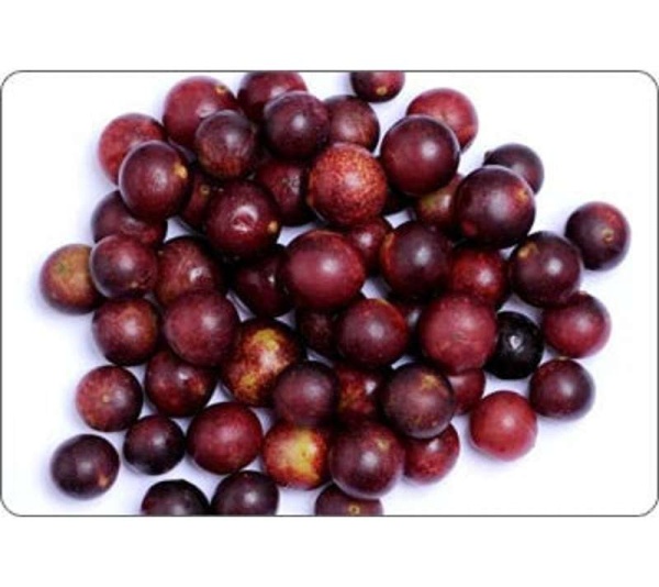 All Shins & Grins Capsules - Antioxidant Super Food Bone, Eye, Teeth & Skin Support Dog & Cat* - DOG/ 150 caps / 500 mg.