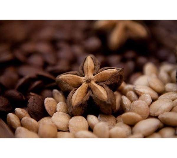 Body Bliss - Omega 3 & 6 Super Food + Heart, Brain Joint, Blood & Coat Support* - Dog / 150 caps / 500 mg/Size 1